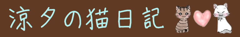 涼タの猫日記