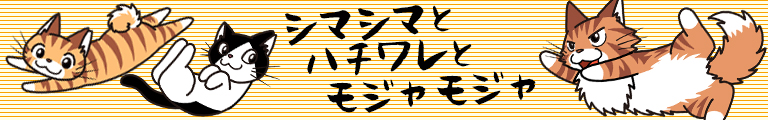 シマシマとハチワレとモジャモジャ
