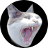 today_icon.jpg