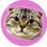 icon_monogurashi.jpg
