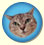 lets_icon.jpg