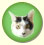 pore_icon.jpg