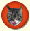 today_icon.jpg